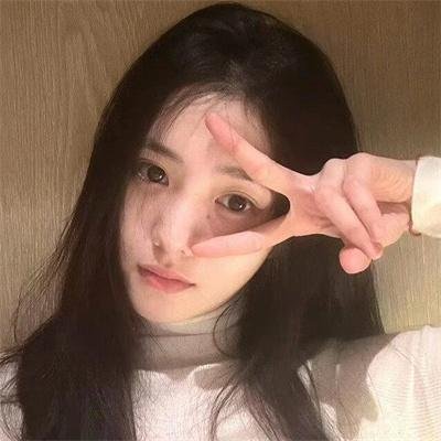 森林：随处可见